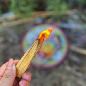 Sage & Palo Santo Harmony Bundle | Sacred Ritual for Mind & Spirit